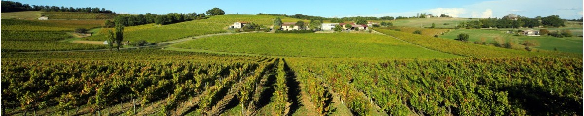 Gaillac wines and the Gaillac vineyard are over 1000 years old