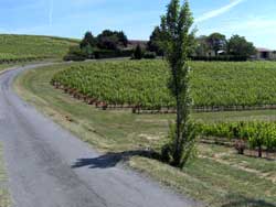 Route to Domaine Vayssette