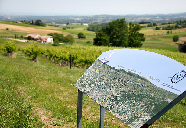 Le sentier botanique autour du Domaine Vayssette