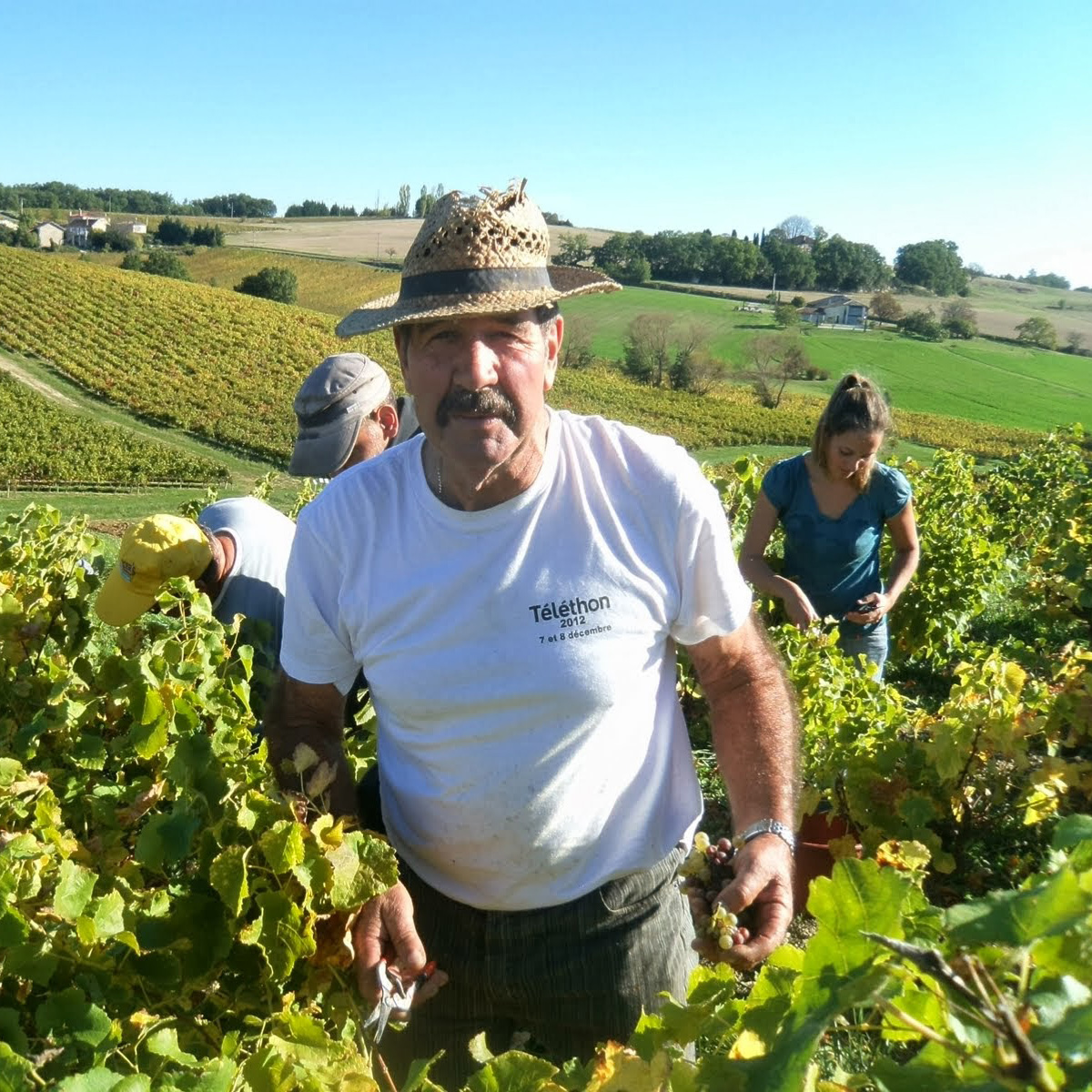Jacques Vayssette - Father winemaker at Domaine Vayssette