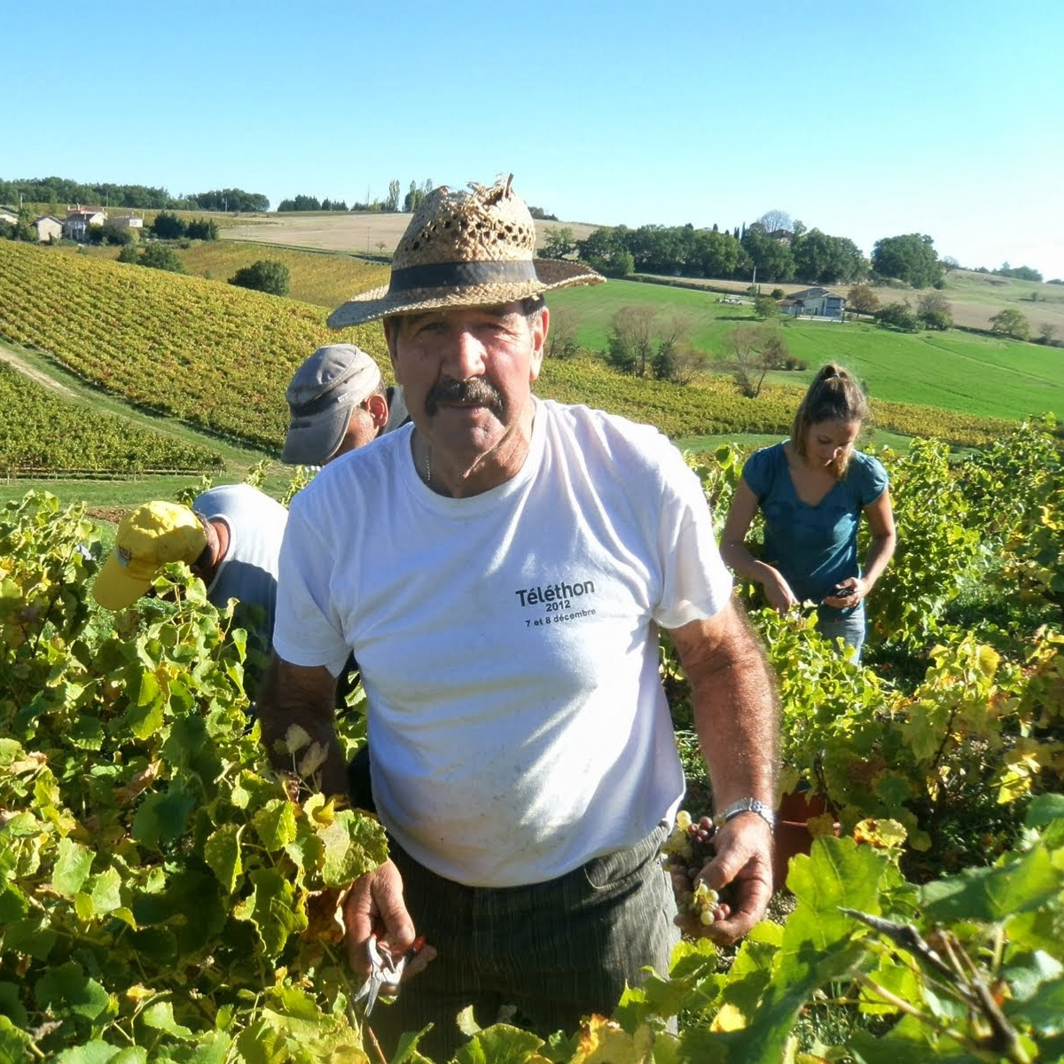 Jacques Vayssette - Vigneron père au Domaine Vayssette