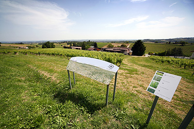 Visite du Sentier Botanique