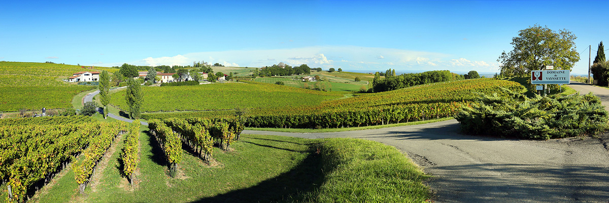 The 26 hectares of vines of Domaine Vayssette