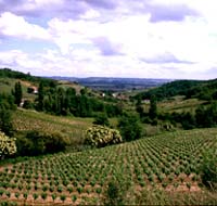 Terroirs of the Gaillac vineyard