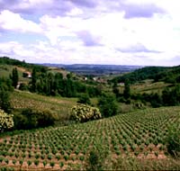 Terroirs du vignoble de Gaillac