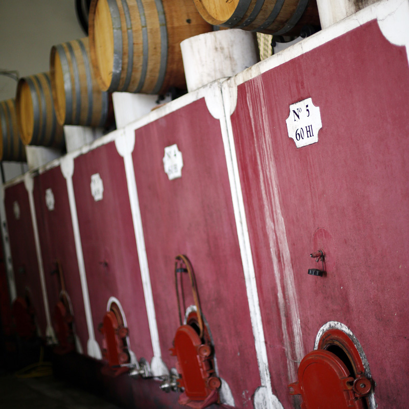 Vinifier et élever notre vin Vinifier et élever notre vin