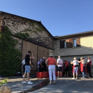 Harvest workshop at Domaine Vayssette