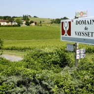 Visit of the vineyard