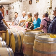 Group visit to the barrel cellar