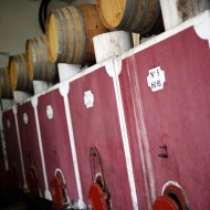 Visit of the cellar to the vats