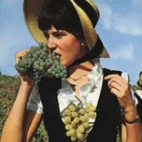 La dame au chapeau : Maryse